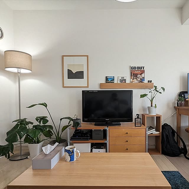 On Walls,無印良品,IKEA,一人暮らし,照明,観葉植物,北欧 koの部屋