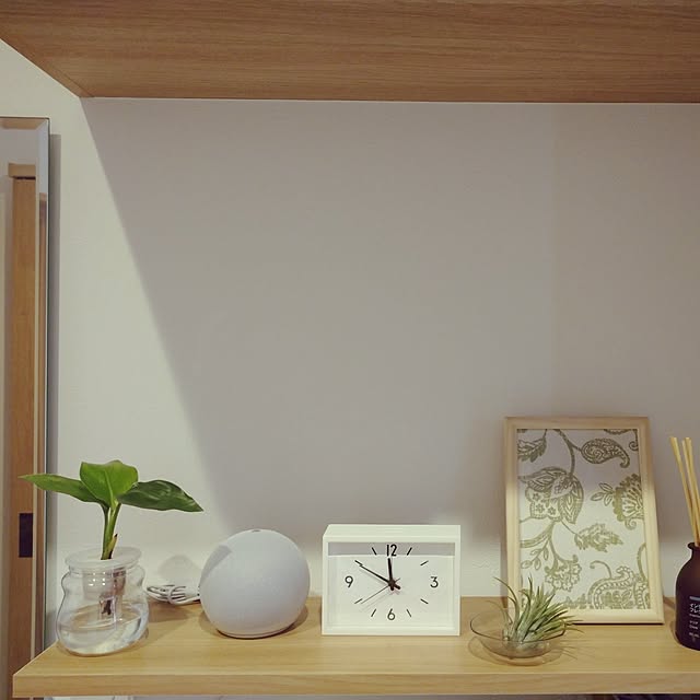 Entrance,ディスプレイコーナー,DIY,ナチュラルインテリア,無印 時計,echodot,3COINS,エアープランツ(本物),玄関棚ディスプレイ,玄関棚DIY,植物が好き,こどもと暮らす,観葉植物のある暮らし,ラブリコ,トライアングルフレーム,玄関にグリーン,玄関に棚 kkmhの部屋