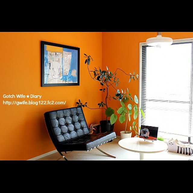 On Walls,オレンジの壁,バルセロナチェア,フランスゴムの木,フィカスウンベラータ,バスキア gotchwifeの部屋