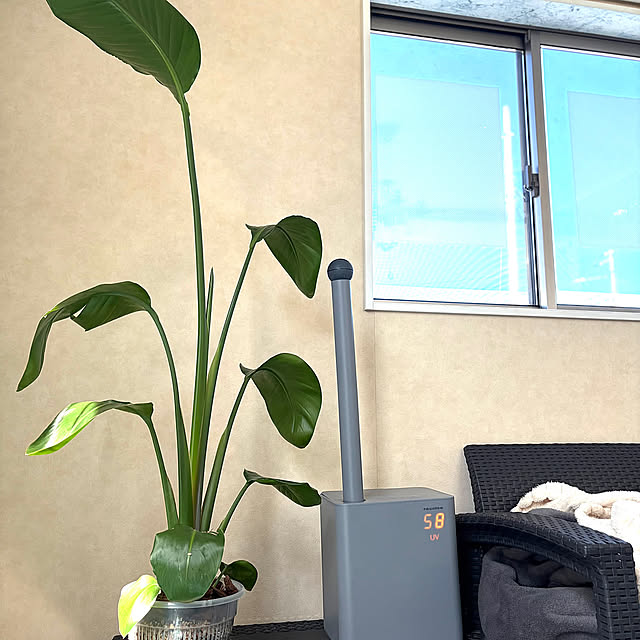 Lounge,ダイソー,セリア,海外風インテリア,ホテルライク,いつもありがとうございます♡,ペットと暮らす家,グリーンのある暮らし,モノトーンインテリア,窓辺のインテリア,吹き抜けのある家,植物のある暮らし,ペットと暮らすインテリア,大理石調の床,ペットと暮らす,観葉植物のある暮らし,ペットのいる暮らし,モニター応募投稿 MOMOMAMAの部屋