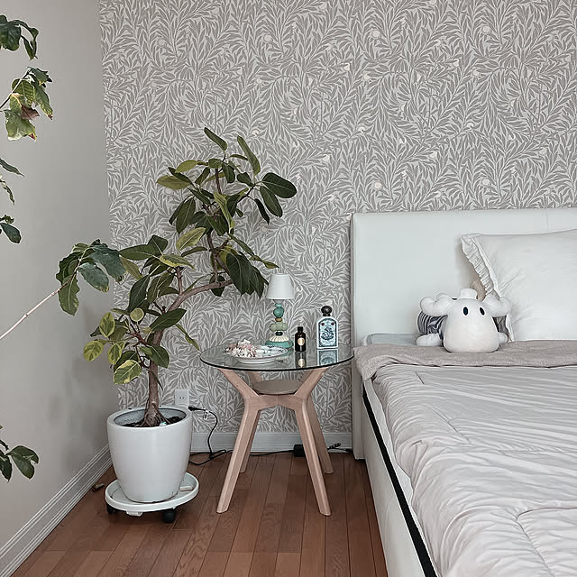 Bedroom,観葉植物,テンピュール,電動ベッド,リリカラ壁紙,アクセントクロス,アルテシマ Tupemamaの部屋