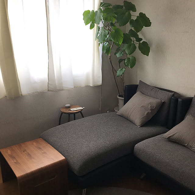 カフェ風,北欧,ニトリ,観葉植物,モノトーン,ソファ,Lounge ovel.の部屋