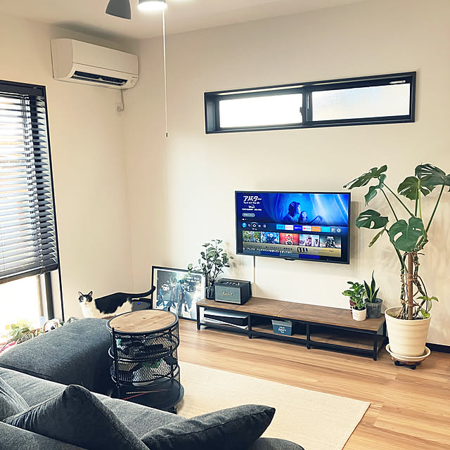 Lounge,ワゴンテーブル,猫,フェイカ,コーヒーの木,サンスベリア,ポトス,観葉植物,IKEA,ブラインド,ニトリ,モンステラ,建売 qp_ktbnの部屋