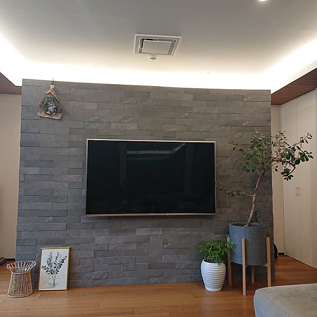 Lounge,エコカラット,2階リビング,観葉植物のある暮らし,ドライフラワー,おりあげ天井 chachahomeの部屋