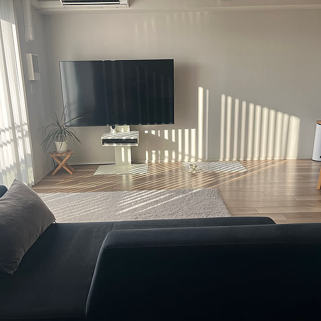 Overview,テレビスタンド,テレビスタンドwall,WALLテレビスタンド,マンション,シンプル,マンションインテリア,シンプルライフ,シンプルインテリア,おうち時間を楽しむ,縦長リビング,シンプルな暮らし,マンション暮らし,おうち時間,マンションライフ,マンションリビング,快適な暮らし,縦型リビング,IKEA,ホワイトインテリア,フランネルソファ,犬のいる暮らし arinonの部屋