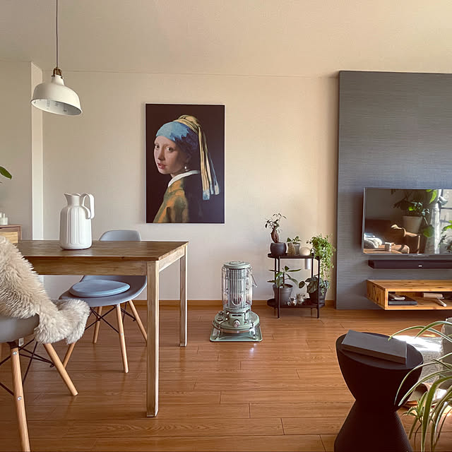 Lounge,アラジンストーブ,わが家の暖房器具・ストーブ,IKEA,賃貸,2LDK,2人暮らし,賃貸でも諦めない！,グリーンのある暮らし,『RCカントリー倶楽部☆』,無印良品,壁面収納 akoの部屋