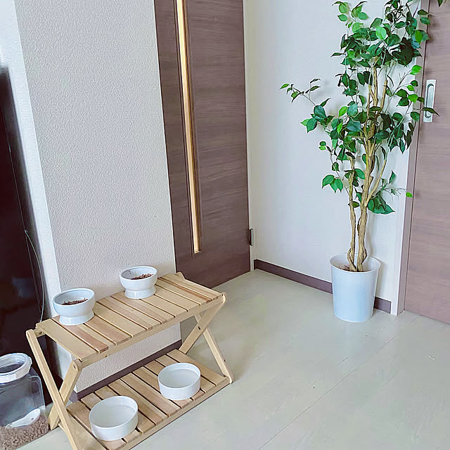 ダイソー,フェイクグリーン フィカス,ニトリのフェイクグリーン,ベルメゾンの折りたためるラック,ニトリのフードボール,猫壱,ペットと暮らすインテリア,賃貸でも諦めない！,いいね&フォローありがとうございます☆,ニトリ,ホワイトインテリア,賃貸でも楽しく♪,賃貸,ホワイトインテリア目指し中,100均,ねこと暮らす。,ねこのいる日常,猫好きさんと繋がりたい,ねこ,100均大好き,Entrance YUKA-REO-MOMOKOの部屋