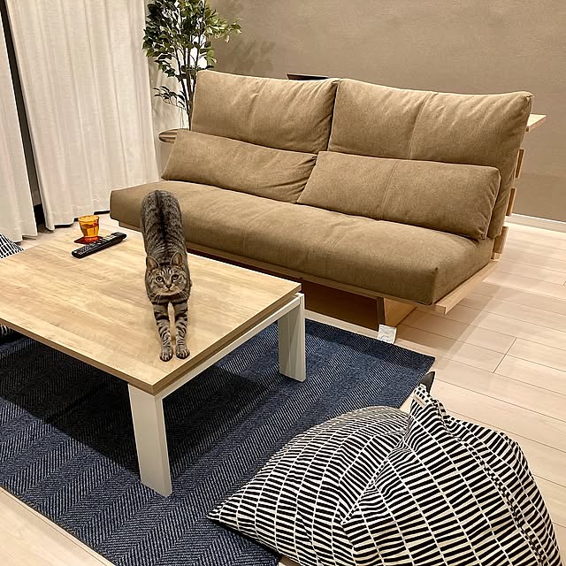 1LDK,ニトリ,SOU・SOU,SERENITA,ヒラシマ,ヒラシマ家具,カウンターソファー,ビーズソファー,こたつ,Lounge,HIRASHIMA moiの部屋
