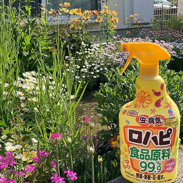 Entrance,ばらの花,ガーデニング,花壇,害虫対策,モニター投稿,アースガーデン,やさお酢&ロハピ,暮らしのハンドブック2024 kuroの部屋