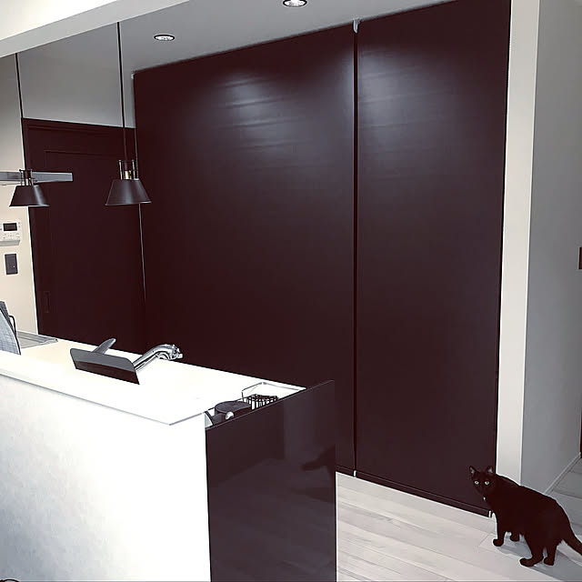 ゼロキューブ,ZERO-CUBE,ガルバリウムの家,ZERO-CUBE+GARAGE,モノトーン,DIY,Kitchen ginの部屋