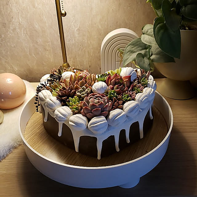 My Shelf,100円ショップ,ダイソー,石粉ねんど,ハンドメイド,てづくり,鉢,多肉鉢,多肉植物,デコレーションケーキ,チョコレート mhkの部屋