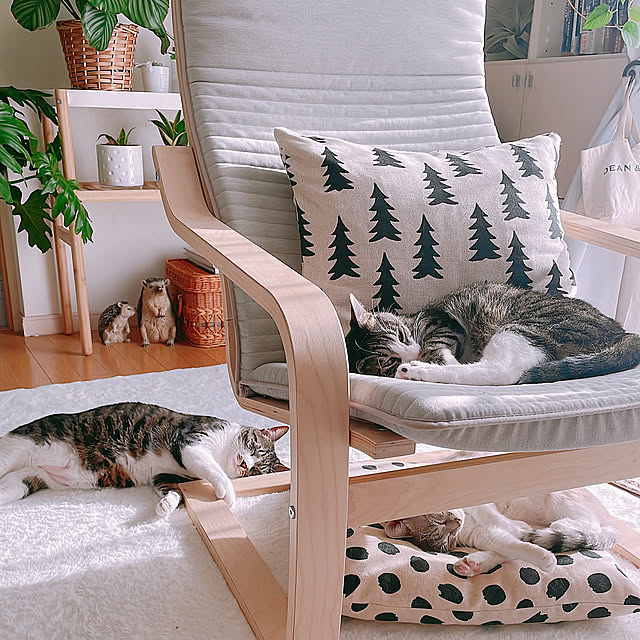 Lounge,ポエング,IKEA,椅子,ホワイトインテリア,ナチュラルインテリア,ホワイトナチュラル milkcocoaの部屋