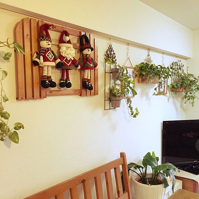 Lounge,サンタさん,アイアンプランターラック,ピクチャーレール,植物,DIY,暮らしを彩る植物コンテスト 73heiの部屋