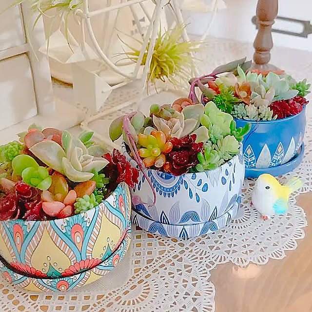 My Shelf,ワッツ購入品,ワッツ購入ひ,100均リメイク♪,100均リメイク,100均雑貨♡,100均雑貨たち,100均雑貨リメイク,100均雑貨大好き♡,100均雑貨,10分でできる,多肉,多肉植物,リメイク,寄せ植え,多肉ちゃん,多肉植物寄せ植え,多肉植物初心者,寄せ植え大好き,多肉植物のある暮らし,趣味時間,暮らしのひとコマ,リメイク鉢,リメイク缶,リメイク雑貨,寄せ植え初心者 Hanakaの部屋