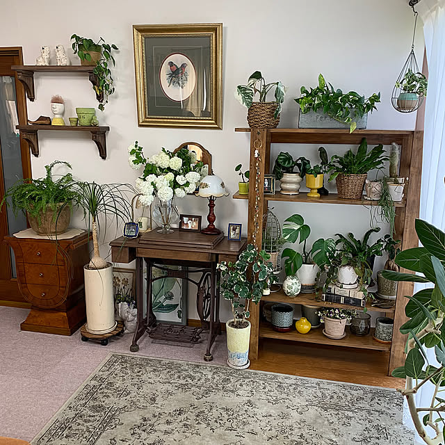 Lounge,足踏みミシン,ビバーナムスノーボール,オオデマリ,レトロ,観葉植物,グリーン,植木鉢,観葉植物のある暮らし,見ていただいて感謝です♡,花瓶,コメントお気遣いなく(⁎ᴗ͈ˬᴗ͈⁎),ガーデニング,モンステラ,庭,花壇 ponyoの部屋