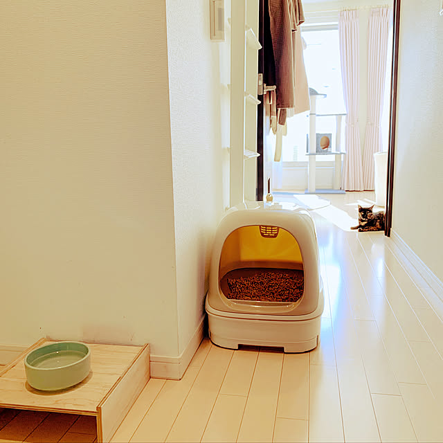猫の水飲み場,猫ちゃん想い,ねこと暮らす,ニャンとも清潔トイレ,ねこのいる日常,猫トイレ,ツートンカラーが良いね♪,Entrance mameazの部屋