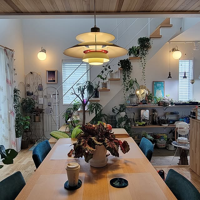 ペンダントライト,観葉植物,ウッドワン階段,土間のある暮らし,イベント参加中,観葉植物のある暮らし,住江織物,ルイスポールセン ph5,PH5 nonbiri_house_の部屋