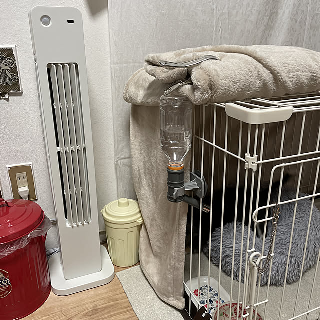 人感消臭タワーファン,RCショッピング,おうち見直しキャンペーン,チワワのいる暮らし,Lounge Yukiの部屋