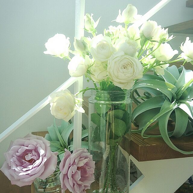 本物みたいな魅力 ニトリのエアプランツ 造花の飾り方 Roomclip Mag 暮らしとインテリアのwebマガジン