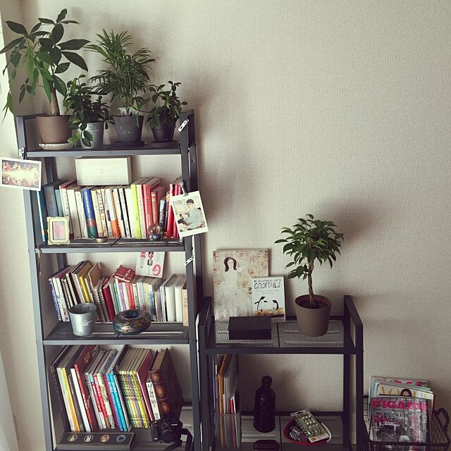 My Shelf,本棚,IKEA,観葉植物 Misaの部屋