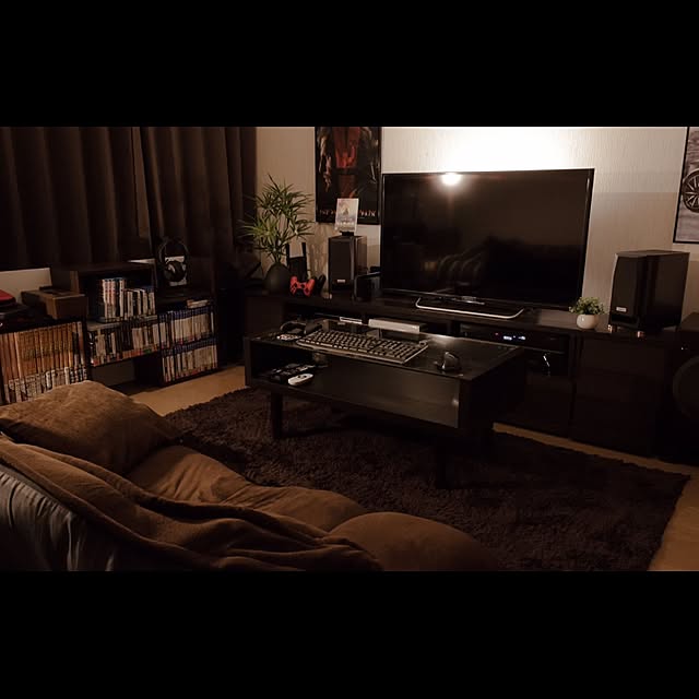 Overview,オタク部屋,映画,一人暮らし,ホームシアター,ゲーム部屋,映画好き,音楽部屋,PS4,観葉植物,照明 yoTsubashiKaの部屋