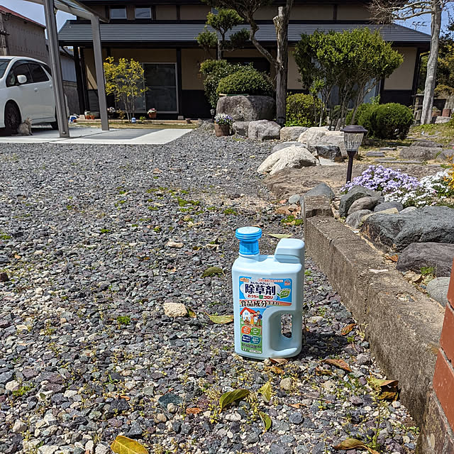ガーデニング,植物のある暮らし,除草,アースガーデン,Entrance,古民家,古民家再生,5分で枯れる,外猫ちゃんも安心,リノベーション,砂利敷き,築100年,駐車場スペース,駐車場からお庭へ‥…,雑草との闘い,雑草手に負えない,おうちの草コロリ chiibou5223の部屋