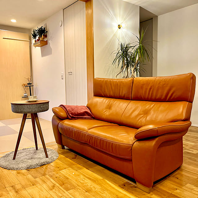 ドラセナコンシンネ,ナラ無垢床,無垢床ナラ材,無垢床オーク,オーク無垢床,テーブルスピーカー,テーブル型ワイヤレススピーカー,スピーカーテーブル,welle tone,ベレーW301T,珪藻土と無垢の床,珪藻土壁,珪藻土の壁,リーベル革,本革ソファ,本革ソファー,カリモクソファ,カリモクソファー,カリモク,ソファ,Lounge tamabaka1971の部屋