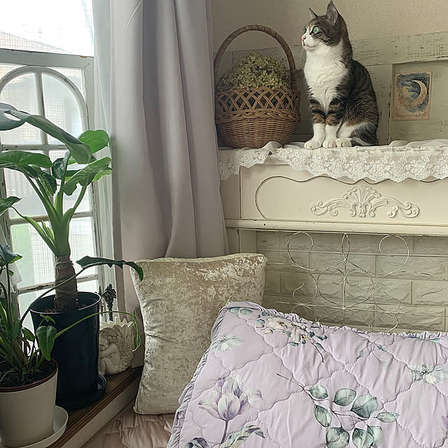 Bedroom,ドライフラワー,レース,マントルピース,花のある暮らし,いつもいいねやコメありがとうございます♡,暮らしを楽しむ,シンプルに暮らしたい,おひとりさま時間,ていねいな暮らし,RoomClip運営チームの皆様に感謝♡,シンプルな暮らし,おうち時間,リラックス空間,アナベル,植物のある暮らし,ねこのいる日常,ねこと暮らす Rabbitの部屋