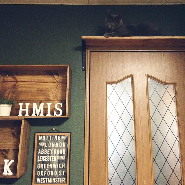 On Walls,壁紙の上からペイント,ワトコオイルダークウォルナット,キャットウォーク,キャットタワー,ワイン木箱,DIY,ねこのいる日常,猫,ワイン箱 meguの部屋