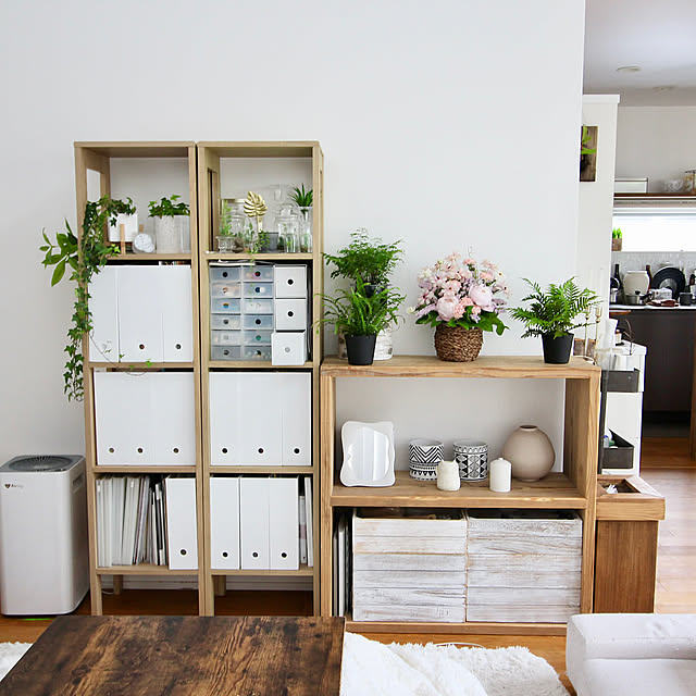 Lounge,WOODPRO,フラワーアレンジメント,植物のある暮らし,ファイルボックス,ニトリ,花のある暮らし,白が好き Kaneyukiの部屋