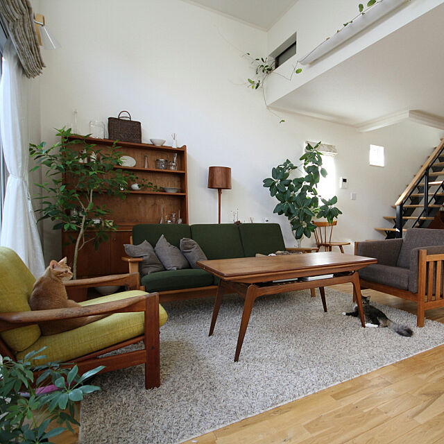 Lounge,観葉植物,北欧ヴィンテージ,北欧インテリア,グリーンのある暮らし,ねこと暮らす Hisashiの部屋