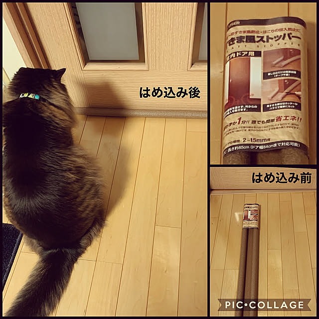 『すきま風ストッパー』,NO CAT,NO LIFE❤️,猫大好き❤,皆さんの支えに心から感謝❤,いいね♪＆フォロー有難うございます♡,ご覧になって下さり有難うございます❤️,RCの出会いに感謝♥︎,花と猫に囲まれた生活(^^),Lounge yukarin-gardenの部屋