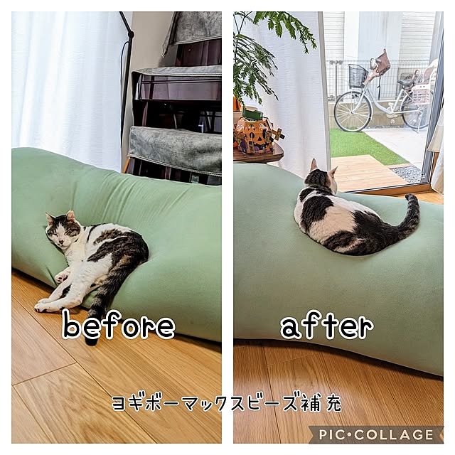 Overview,インテリア,ピスタチオグリーン,ビーズクッション,ヨギボーマックス,ヨギボー,猫と暮らす,ビーズ補充,カバー洗濯＋乾燥機,グリーン,ピスタチオ,比較画像 tomatopapaの部屋