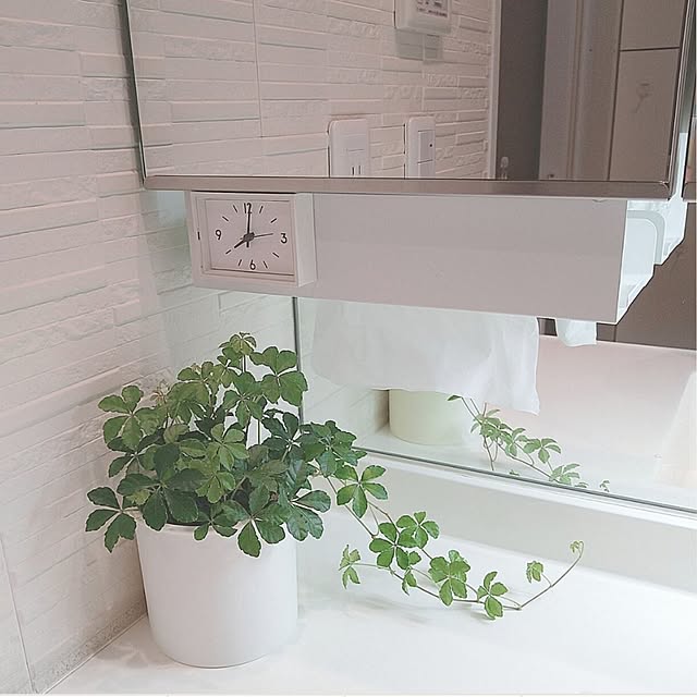 Bathroom,ティッシュケース,マンション暮らし,子どもと暮らす,犬のいる暮らし,ペーパーホルダー,無印良品 yumegu8の部屋