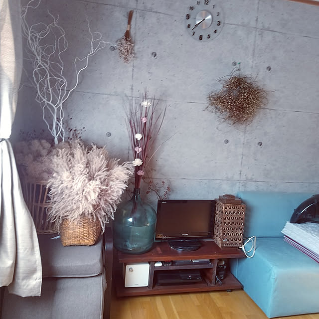 On Walls,グレーインテリア,狭小住宅,RCの出会いに感謝♡,好きな物に囲まれて暮らしたい♡,DIY♡,ワイヤープラツリ―ス,ドライフラワーのある暮らし,猫と暮らす,デミジョンボトル koyutan-mjmの部屋