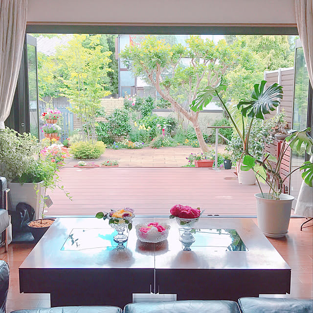 デッキライフ,カフェ風,ガラス雑貨大好き,雑貨,ガーデニング,観葉植物,ブルーベリーの木,バラの庭,Entrance miwarinの部屋