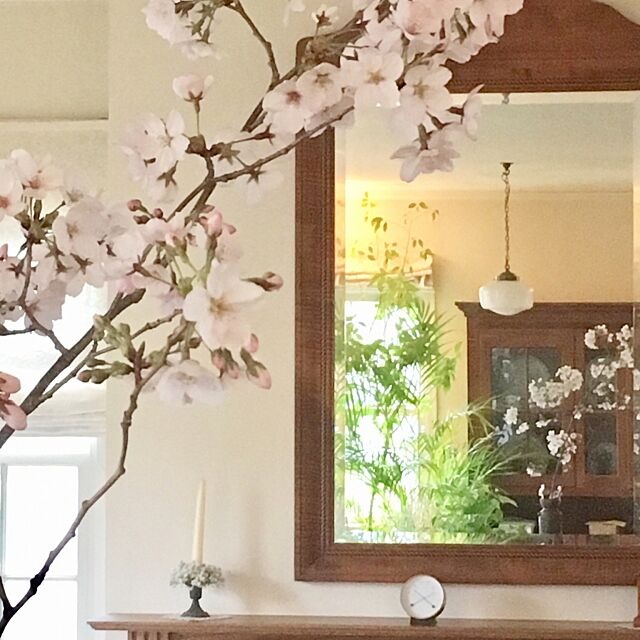 Overview,鏡の中の桜,庭の桜,お花見,花のある暮らし,ナチュラル,季節を感じる暮らし Claraの部屋