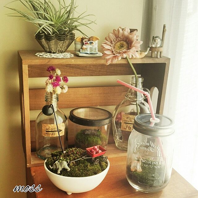 My Shelf,NO GREEN NO LIFE,植物のある暮らし,ニコガチャ,セリア,ろうびき,ラベル作り,びん,造花,フェイクフラワー,メイソンジャー,メイプルシロップの瓶,苔テラリウム,苔,WECKの木箱 sakusakuの部屋