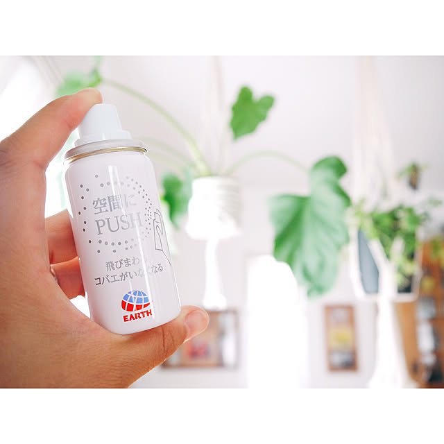 BotaNice,多肉植物,観葉植物,マイホーム,Instagramやってます,インスタやってます！,kamuhome,ig→a___y___ay amu11の部屋