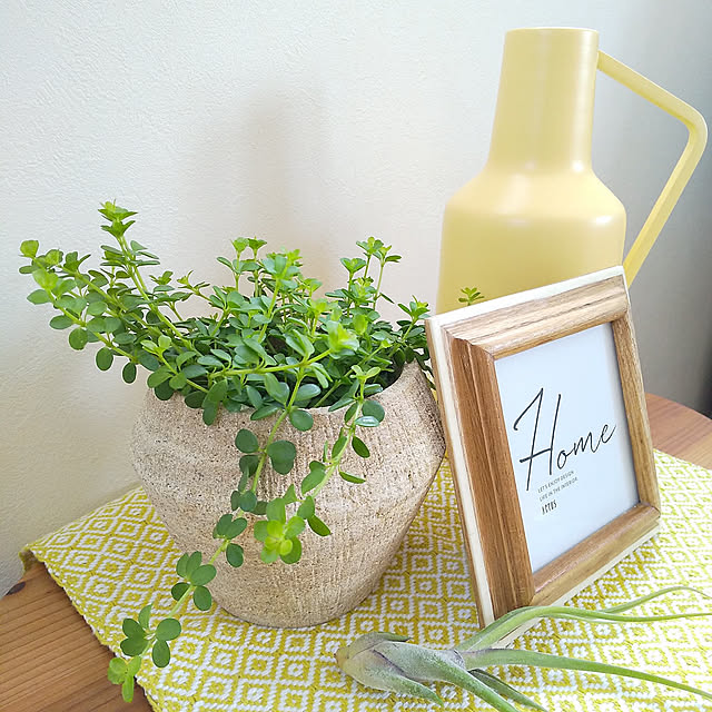 Lounge,ボタニカルインテリア,フォロワーの皆様に感謝♡,見てくれてありがとうございます♡,読んでくれてありがとうございます♡,フラワーベース,花瓶,癒し,ペペロミア,T.カプツメドーサ,アクタス,フォトフレーム,イエローは元気をもらえる色♪,Craft India,観葉植物のある暮らし,好きなものに囲まれた暮らし .Haの部屋