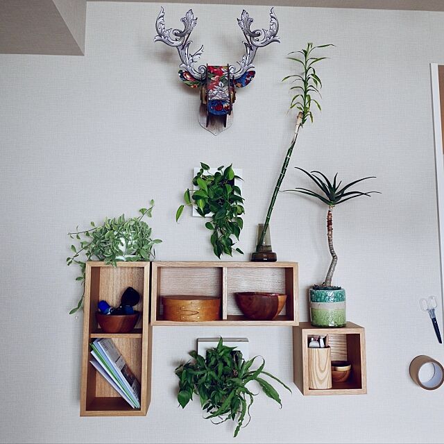 On Walls,植物,無印良品,観葉植物,グリーンインテリア,壁にかけられる観葉植物,壁に付けられる家具 abeの部屋