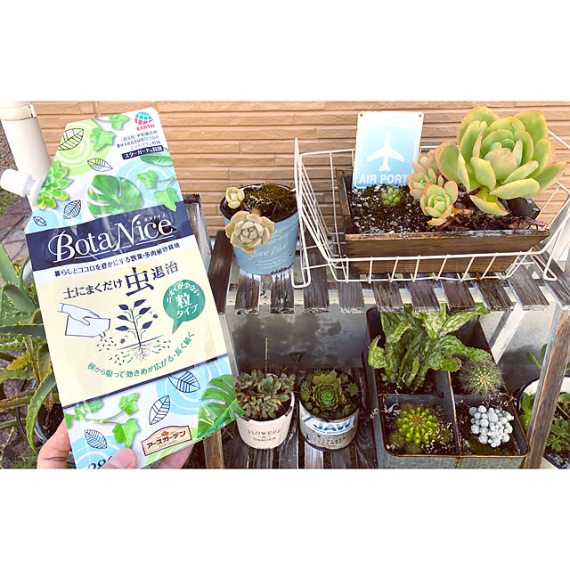 多肉ちゃん,殺虫剤,BotaNice,植物のある暮らし,多肉植物,ガーデニング,観葉植物,コメントありがとうございます♡,爽やか,いいねありがとうございます,庭作り,フォロワーさんありがとうございます,虫よけ,畑作り,モニターありがとうございます,Entrance,土にまくだけ虫退治,アース製薬 kaの部屋