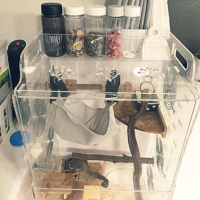 セリア プラスチックボトル,ダイソー 小動物用ハンモック,モモンガもいるんです,みていただきありがとうございます❤️,RCに感謝❤︎です,いつも笑顔で,白が好き♡,いつもいいねやコメありがとうございます♡,いいね！ありがとうございます♪,中古一戸建て,ホワイト×グレー,My Shelf mieの部屋