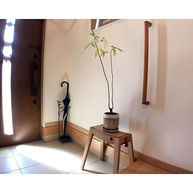 Entrance,スツール,artek,パキラ,傘立て,植物のある暮らし,北欧,シンプル takeboo3の部屋