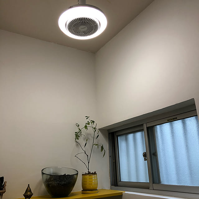 暮らし快適化特集,CIRCULIGHT,サーキュライト,シーリングファンライト,サーキュレーター,照明,Bathroom wacchiの部屋