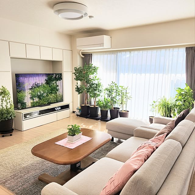Lounge,ラグ,リビング,癒し,リビングテーブル,壁面収納,レースカーテン,Panasonic,ポトス水挿し,キュビオス,スミノエラグ,窓辺のグリーン,観葉植物のある暮らし,ドレープカーテン,南向きのリビング,SONY 有機EL65型,壁面収納TVボード,ピンクの雑貨,東京インテリアのカーテン,背もたれ調整ソファー,シーリングライト,くつろぎ空間,地震対策,耐震ラッチ付き,モニター応募投稿,インテリアグリーン love1017の部屋