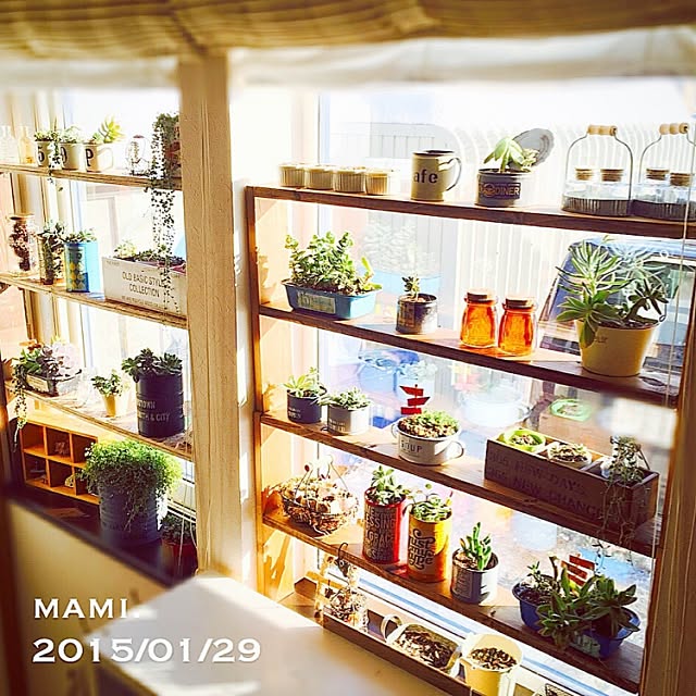 My Shelf,DIY,DIY棚,多肉植物,窓辺,リメ缶,セリア,ハンドメイド,グリーンネックレス mami.の部屋