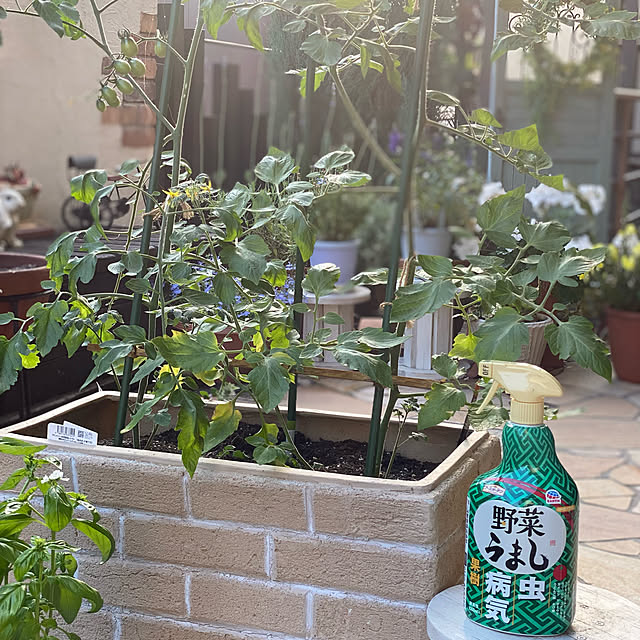 野菜うまし,アースガーデン,害虫対策,家庭菜園,ガーデニング,庭,ガーデン雑貨,テラスガーデン,モニターありがとうございます,ミニトマト作り頑張る！,Entrance yumirilの部屋