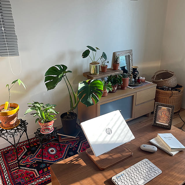 Overview,観葉植物,雑貨,アンティーク,一人暮らし,BOHO,トライバルラグ,リラックス空間,ボヘミアンインテリア,bohemian style,ラグ,照明 unaの部屋