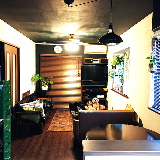 Lounge,壁紙屋本舗,カリモクコロニアル,カリモク60,アートワークスタジオ 照明,壁紙DIY,キャバリアキングチャールズスパニエル,アメリカンコッカースパニエル,狭いけど気に入っている IZUMIの部屋